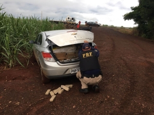 PRF apreende mais de meia tonelada de maconha em Dourados/MS