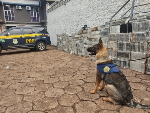 Maior apreensão de cocaína da história da Polícia Rodoviária Federal